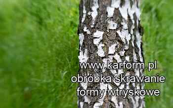 woj. Wielkopolskie projektowanie form wtryskowych