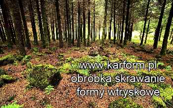 CNC obróbka metali Racibórz