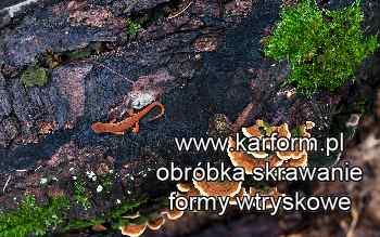 Grudziądz obróbka skrawaniem